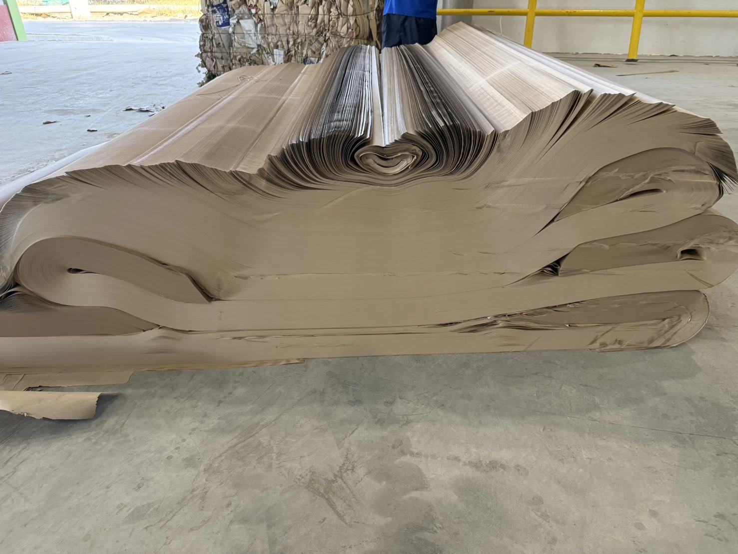 hydraulic cutting machine with conveyor system