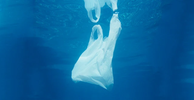 plastic waste enter oceans